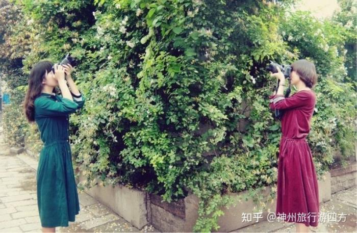 張家界私人導游_私人導游_私人女導游