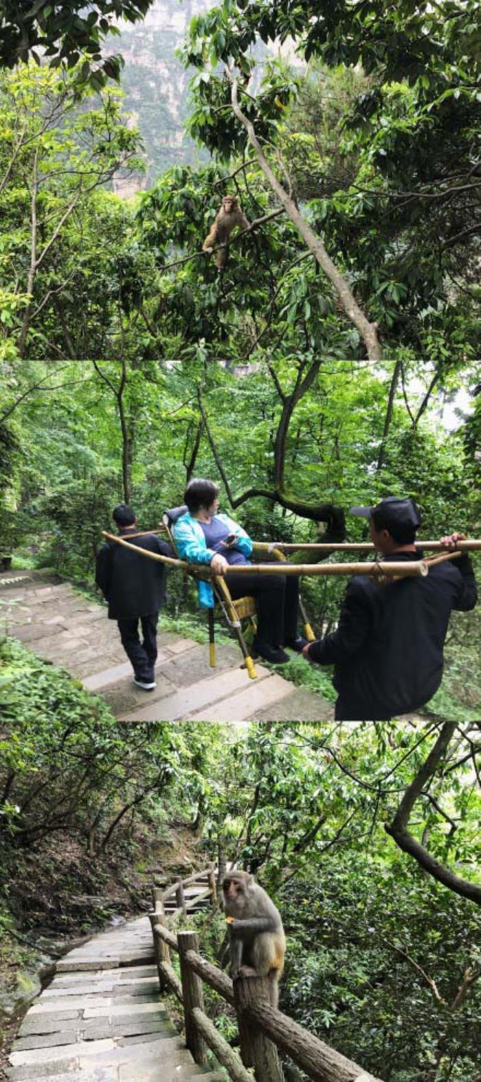 張家界家庭出游私人制定行程，自助游導(dǎo)游提供合理線路