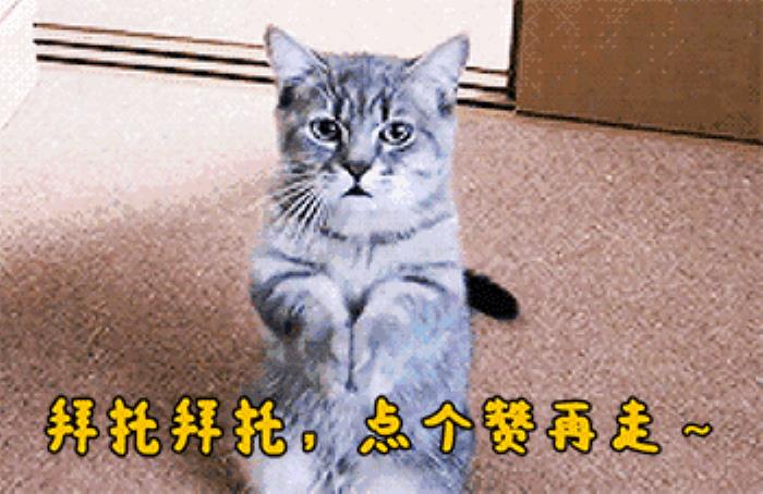 私人導(dǎo)游潛規(guī)則_私人導(dǎo)游_香港私人女導(dǎo)游
