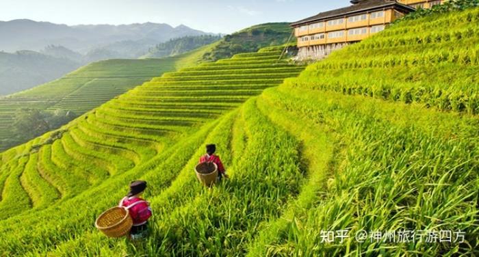 私人導(dǎo)游_泰國 私人導(dǎo)游_張家界私人導(dǎo)游