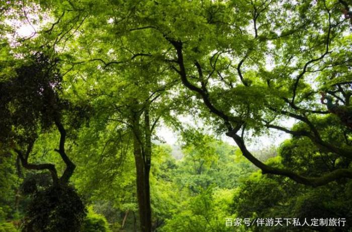 哪里招商務伴游男_廣州商務伴游_長沙商務伴游