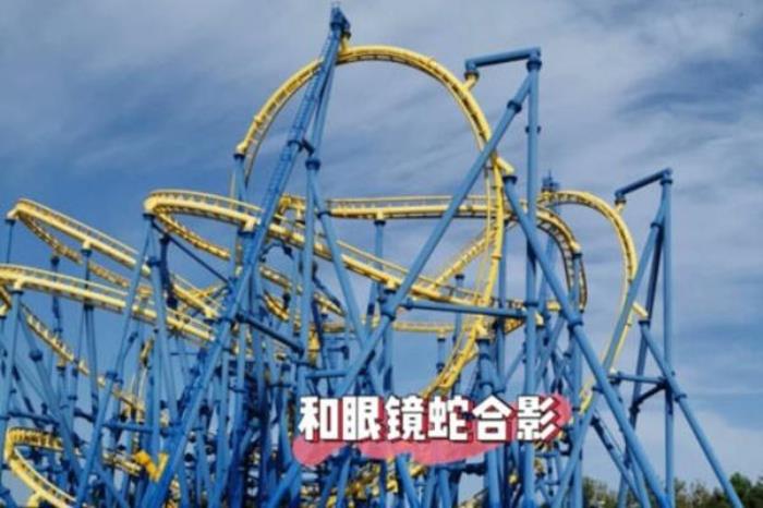 大連發(fā)現(xiàn)王國(guó)項(xiàng)目攻略