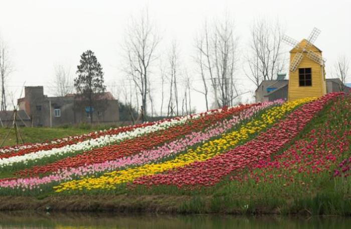 百萬花海風景區(qū)