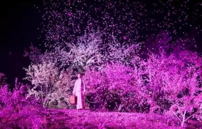 《桃花源記》大型山水實(shí)景演出